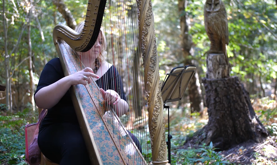 Cheshire Woodland Weddings Music