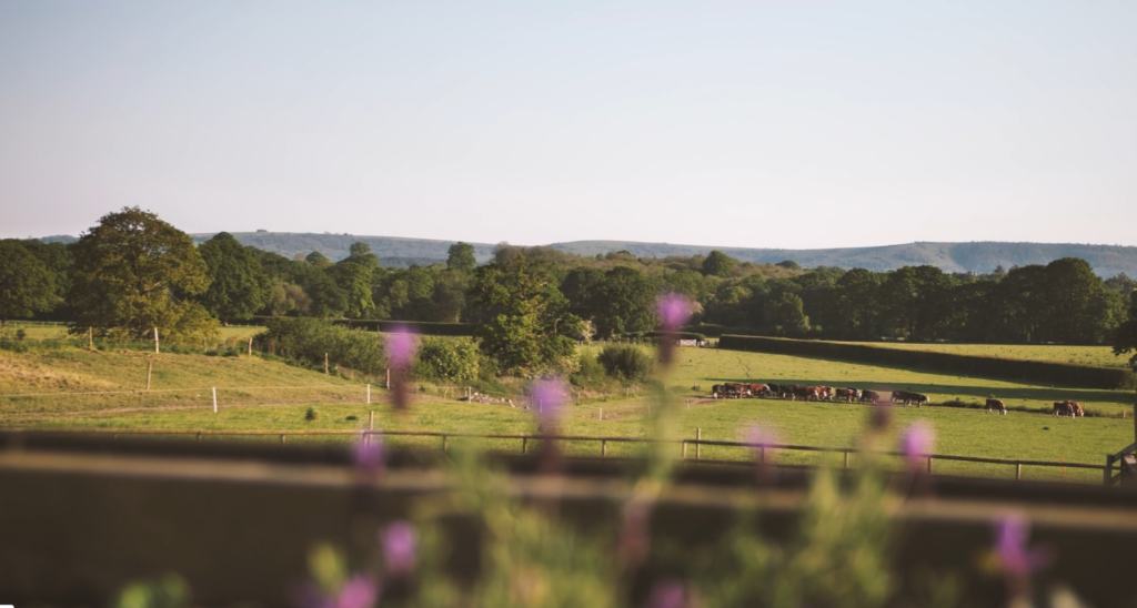 Southlands Barn Outdoor Wedding Ceremony Southlands Barn Outdoor Wedding Ceremony